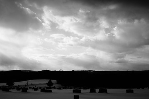 DSC01196