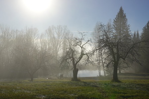 DSC00642