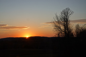 DSC00488