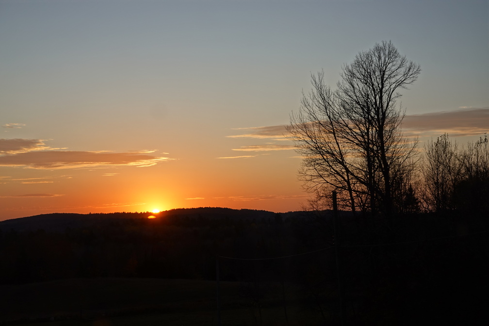 DSC00488.JPG