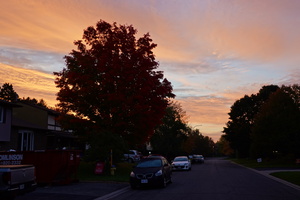 DSC00362