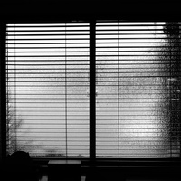 DSC02288