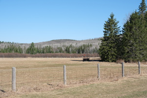 DSCF0167