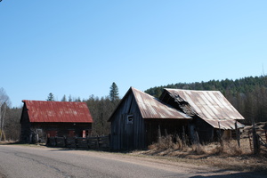 DSCF0175