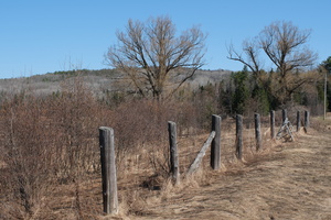 DSCF0177