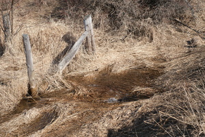 DSCF0181