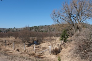 DSCF0187