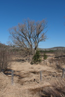 DSCF0188