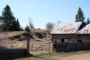 DSCF0190