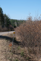 DSCF0191