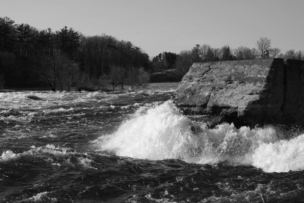 DSCF0378.JPG