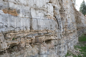DSCF0671