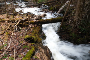DSCF0837