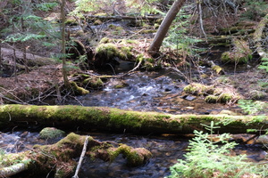 DSCF0805