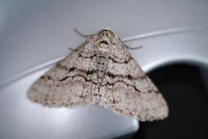 DSCF1144