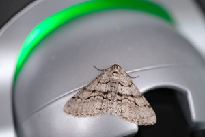 DSCF1143