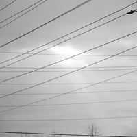 DSCF1287