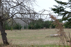 DSCF1663