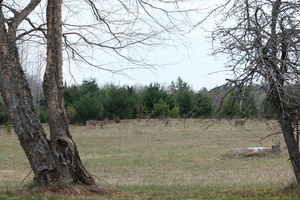 DSCF1661