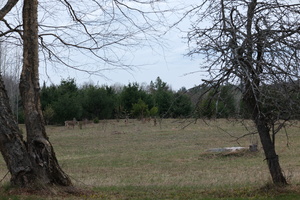 DSCF1658