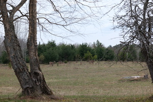 DSCF1654