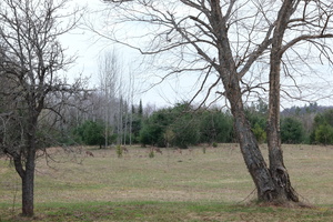 DSCF1646