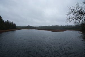 York River looking south from Burnt Bridge Road