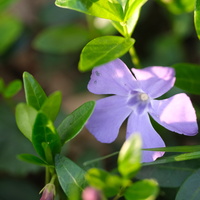 DSCF2183