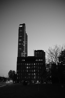 DSCF2339