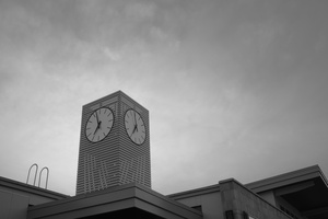DSCF2461