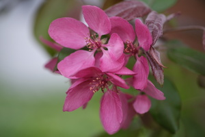 DSCF2567
