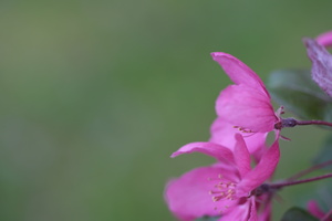 DSCF2582