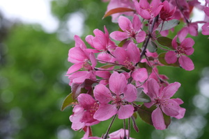 DSCF2588