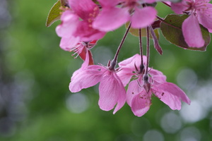 DSCF2604