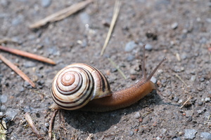 DSCF2667