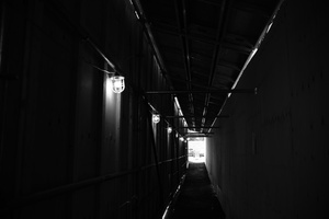 DSCF2640