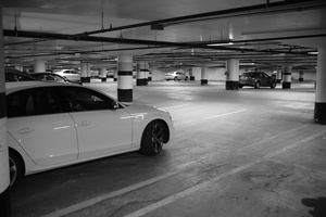 DSCF2896