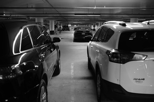 DSCF2895