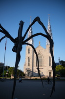 DSCF2766