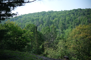 DSCF3305