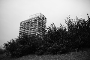DSCF3646