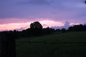 DSCF3956