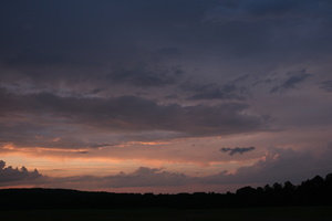 DSCF3934