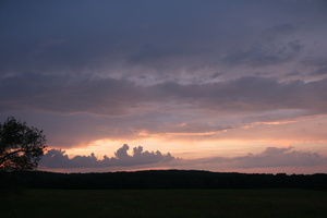 DSCF3930