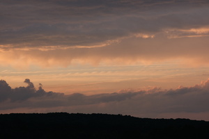 DSCF3920