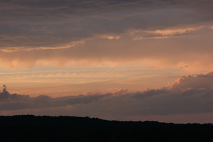 DSCF3919