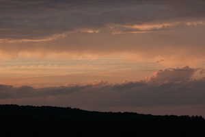 DSCF3918