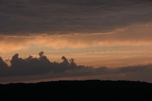 DSCF3910