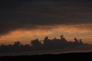 DSCF3909