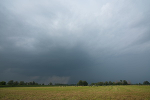 DSCF3866